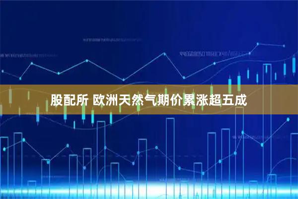 股配所 欧洲天然气期价累涨超五成