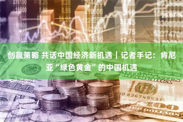创赢策略 共话中国经济新机遇｜记者手记：肯尼亚“绿色黄金”的中国机遇