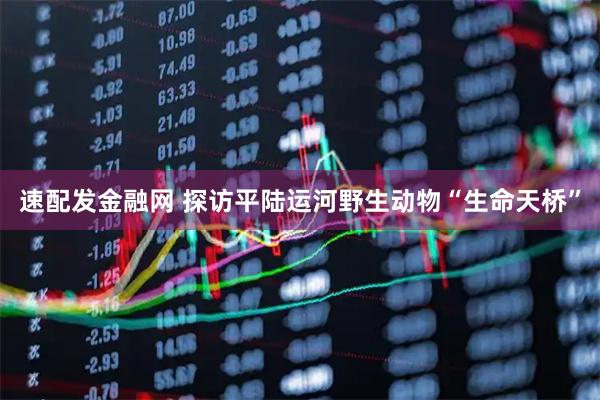 速配发金融网 探访平陆运河野生动物“生命天桥”