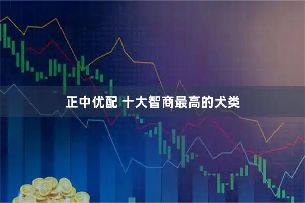 正中优配 十大智商最高的犬类