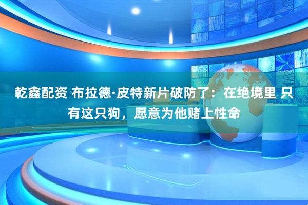乾鑫配资 布拉德·皮特新片破防了：在绝境里 只有这只狗，愿意为他赌上性命