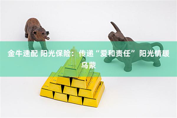 金牛速配 阳光保险：传递“爱和责任” 阳光情暖乌蒙